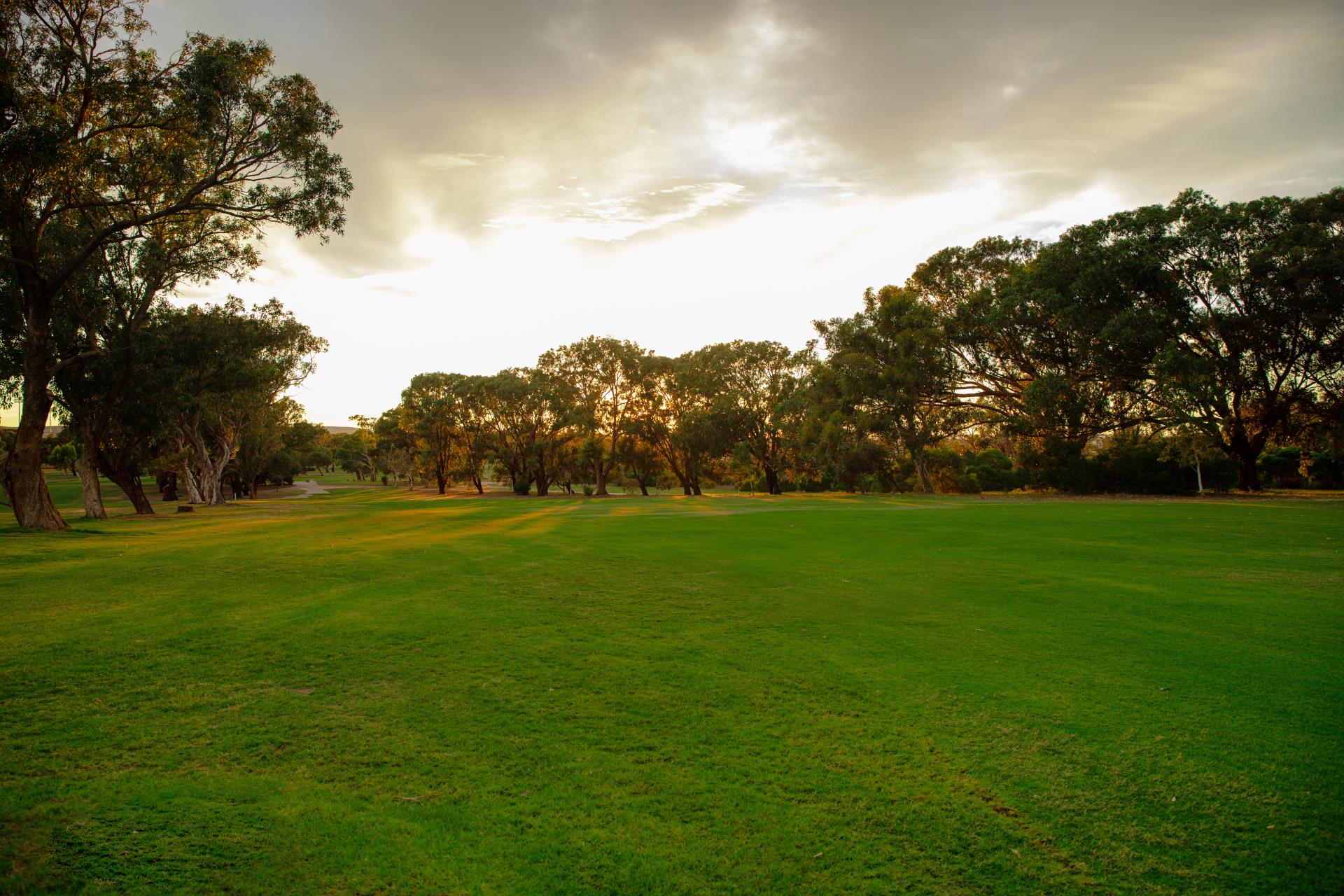 Banner - Driving Range » Geraldton Golf Club